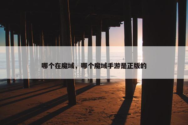 哪个在魔域，哪个魔域手游是正版的