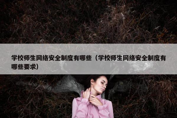 学校师生网络安全制度有哪些（学校师生网络安全制度有哪些要求）