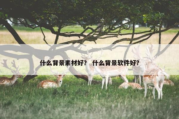 什么背景素材好？ 什么背景软件好？