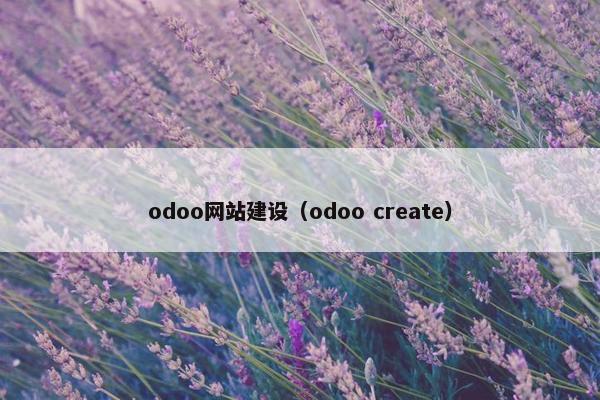 odoo网站建设（odoo create）