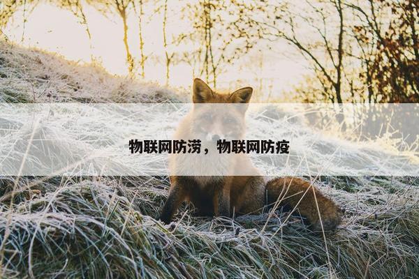 物联网防涝，物联网防疫