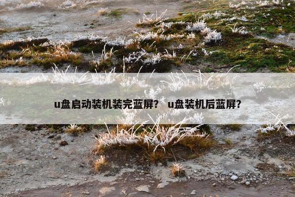 u盘启动装机装完蓝屏？ u盘装机后蓝屏？