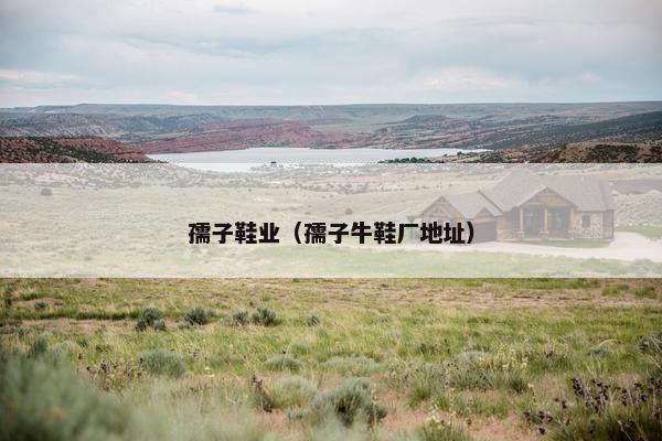 孺子鞋业（孺子牛鞋厂地址）