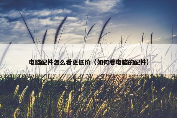 电脑配件怎么看更低价（如何看电脑的配件）