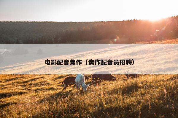 电影配音焦作（焦作配音员招聘）