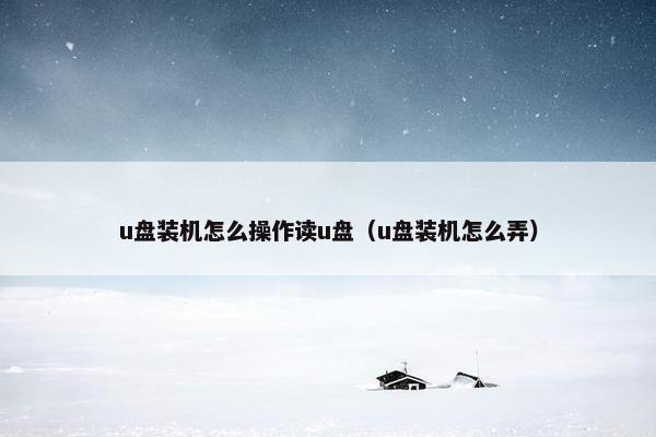 u盘装机怎么操作读u盘（u盘装机怎么弄）
