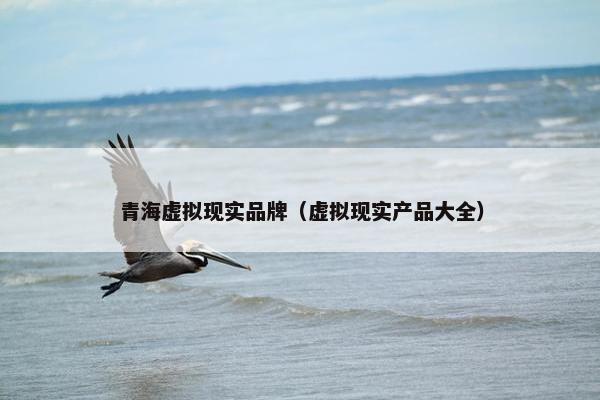 青海虚拟现实品牌（虚拟现实产品大全）