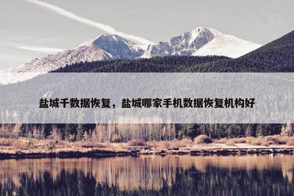 盐城千数据恢复，盐城哪家手机数据恢复机构好