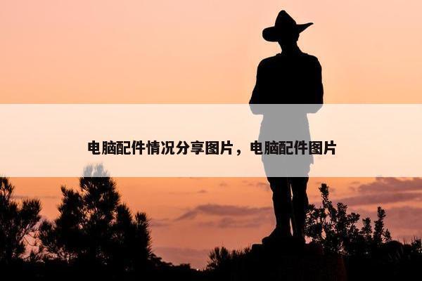 电脑配件情况分享图片，电脑配件图片