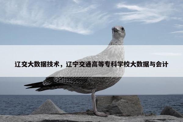 辽交大数据技术，辽宁交通高等专科学校大数据与会计