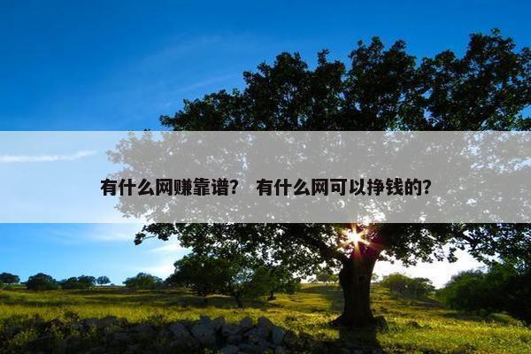 有什么网赚靠谱？ 有什么网可以挣钱的？