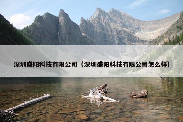 深圳盛阳科技有限公司（深圳盛阳科技有限公司怎么样）