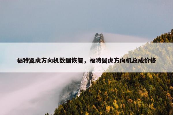 福特翼虎方向机数据恢复，福特翼虎方向机总成价格