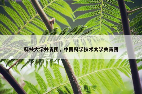科技大学共青团，中国科学技术大学共青团