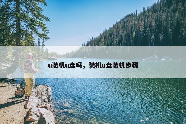 u装机u盘吗，装机u盘装机步骤