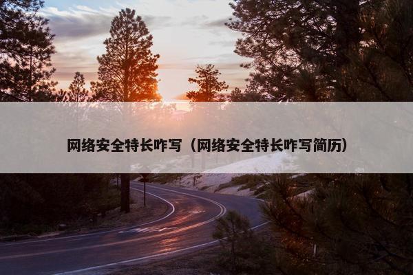 网络安全特长咋写（网络安全特长咋写简历）