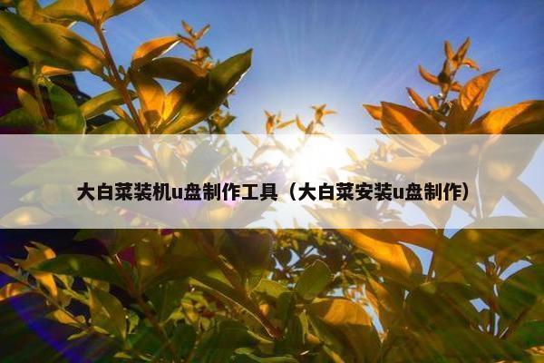 大白菜装机u盘制作工具（大白菜安装u盘制作）