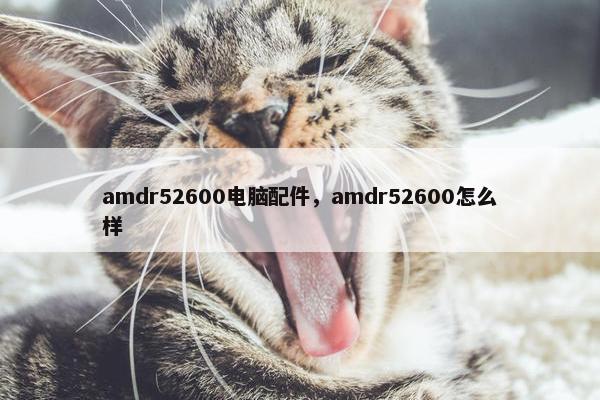 amdr52600电脑配件，amdr52600怎么样