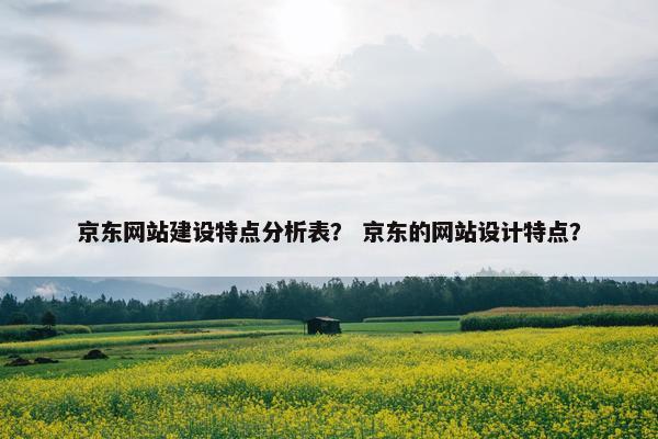 京东网站建设特点分析表？ 京东的网站设计特点？
