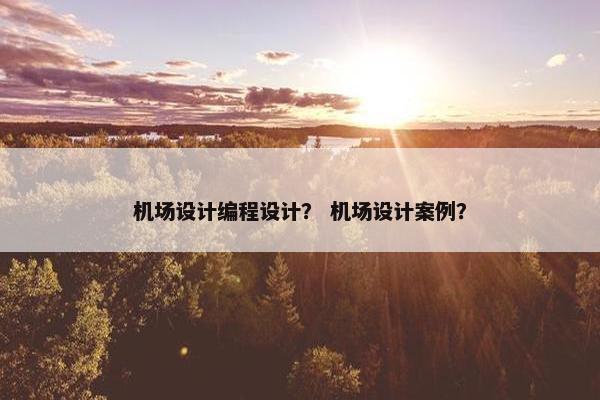 机场设计编程设计？ 机场设计案例？