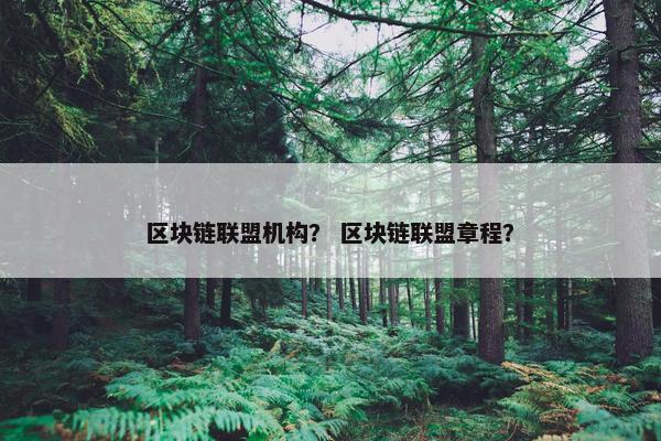 区块链联盟机构？ 区块链联盟章程？