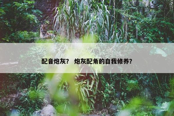 配音炮灰？ 炮灰配角的自我修养？