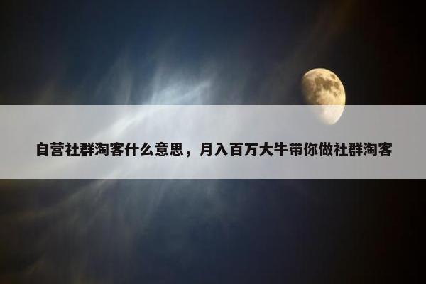 自营社群淘客什么意思，月入百万大牛带你做社群淘客