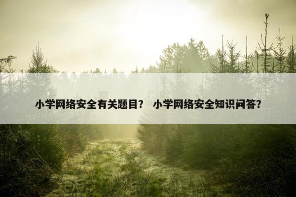 小学网络安全有关题目？ 小学网络安全知识问答？