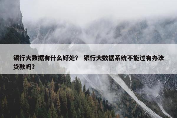 银行大数据有什么好处？ 银行大数据系统不能过有办法贷款吗？