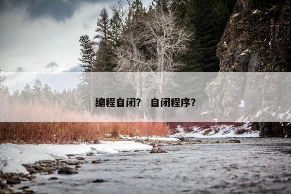 编程自闭？ 自闭程序？