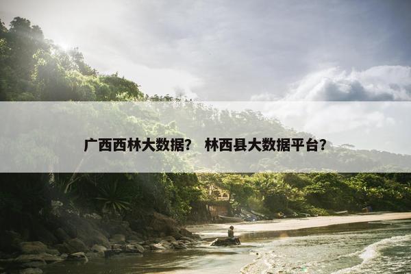 广西西林大数据？ 林西县大数据平台？