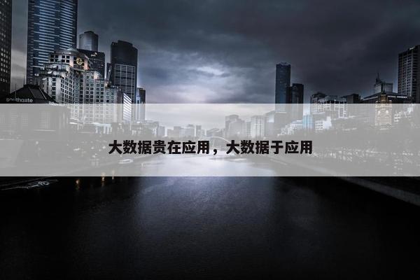 大数据贵在应用，大数据于应用