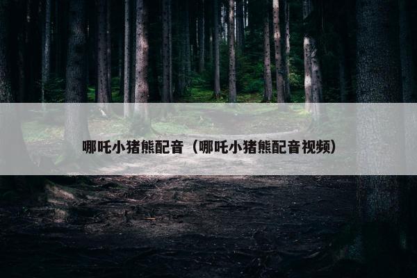 哪吒小猪熊配音（哪吒小猪熊配音视频）