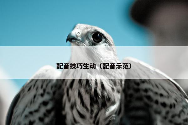 配音技巧生动（配音示范）