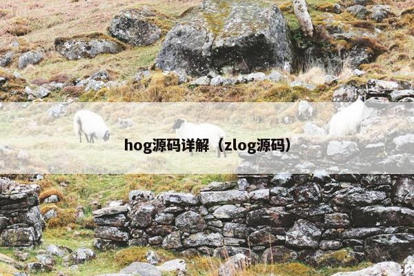 hog源码详解（zlog源码）