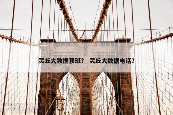 灵丘大数据顶班？ 灵丘大数据电话？