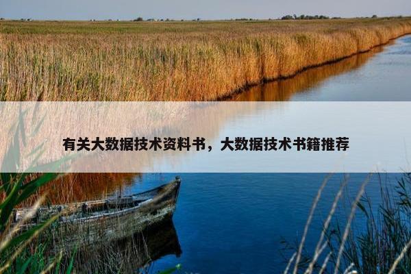 有关大数据技术资料书，大数据技术书籍推荐