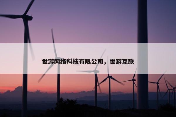 世游网络科技有限公司，世游互联