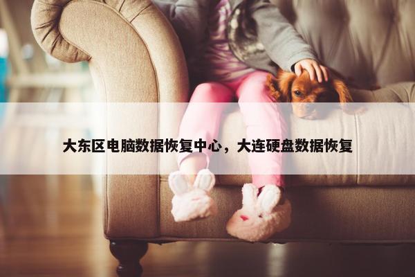 大东区电脑数据恢复中心，大连硬盘数据恢复