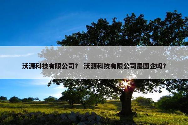 沃源科技有限公司？ 沃源科技有限公司是国企吗？