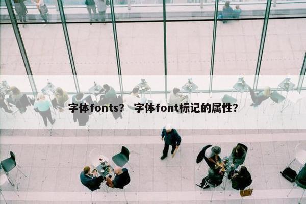 字体fonts？ 字体font标记的属性？