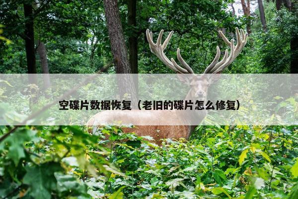 空碟片数据恢复（老旧的碟片怎么修复）