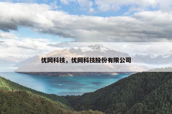 优网科技，优网科技股份有限公司