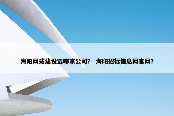海阳网站建设选哪家公司？ 海阳招标信息网官网？