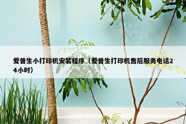 爱普生小打印机安装程序（爱普生打印机售后服务电话24小时）