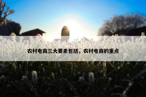 农村电商三大要素包括，农村电商的重点