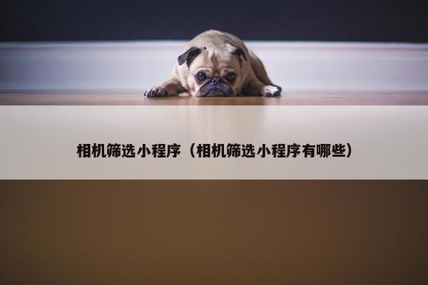 相机筛选小程序（相机筛选小程序有哪些）