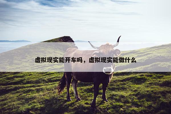 虚拟现实能开车吗，虚拟现实能做什么
