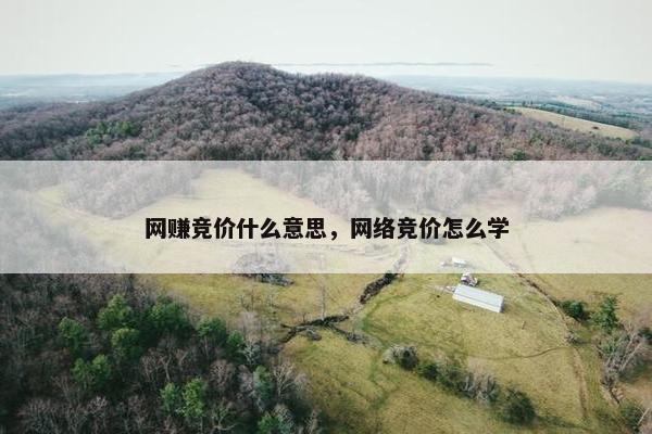 网赚竞价什么意思，网络竞价怎么学