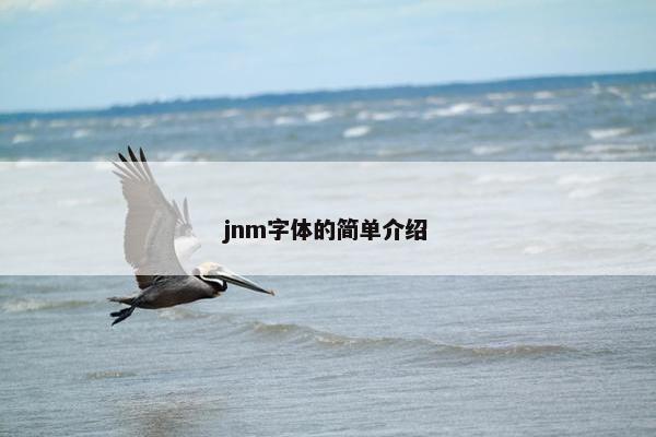 jnm字体的简单介绍